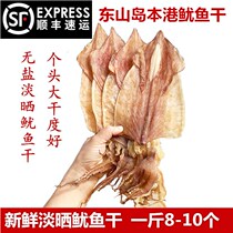 Fujian Dongshan Island specialty Local large light dried squid dried goods Premium large self-dried household Yuyu Soft fish 500g