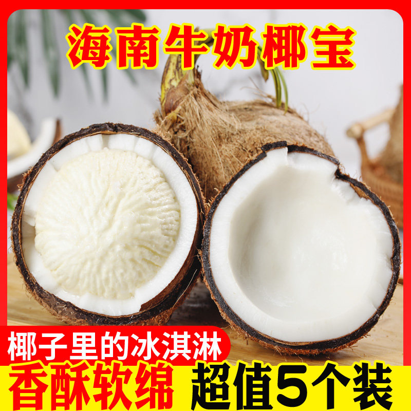 海南牛奶椰宝,当季新鲜水果,正宗老椰子椰皇,煲汤神器,整箱包邮,尝鲜必备!🍹🌴-椰青-淘宝百科网