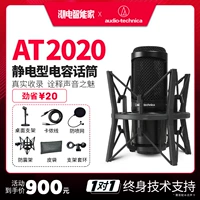 Микрофон, профессиональное оборудование, ноутбук, комплект, 2020