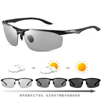 Обрезки линз (двойное использование днем ​​и ночью)