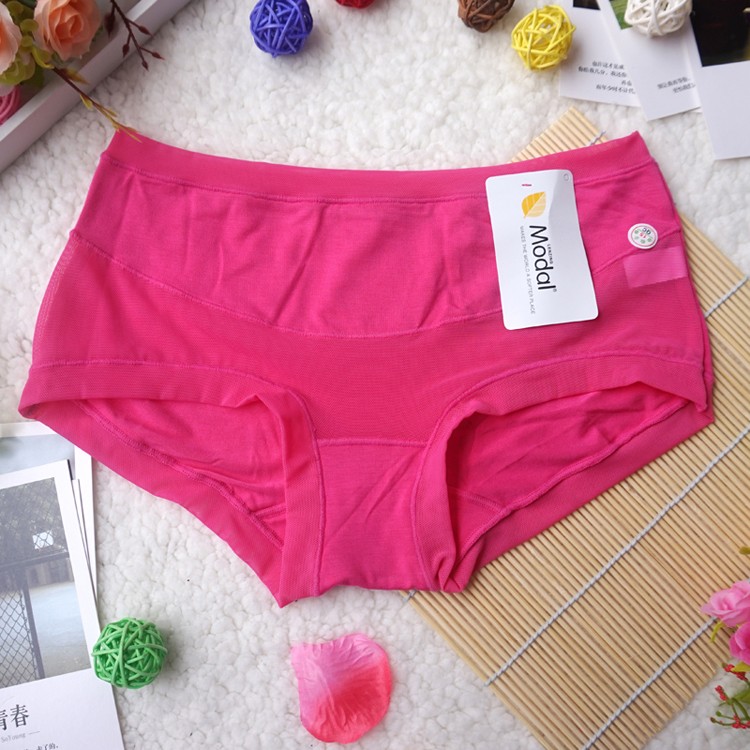 Slip simple en coton - Ref 643870 Image 12