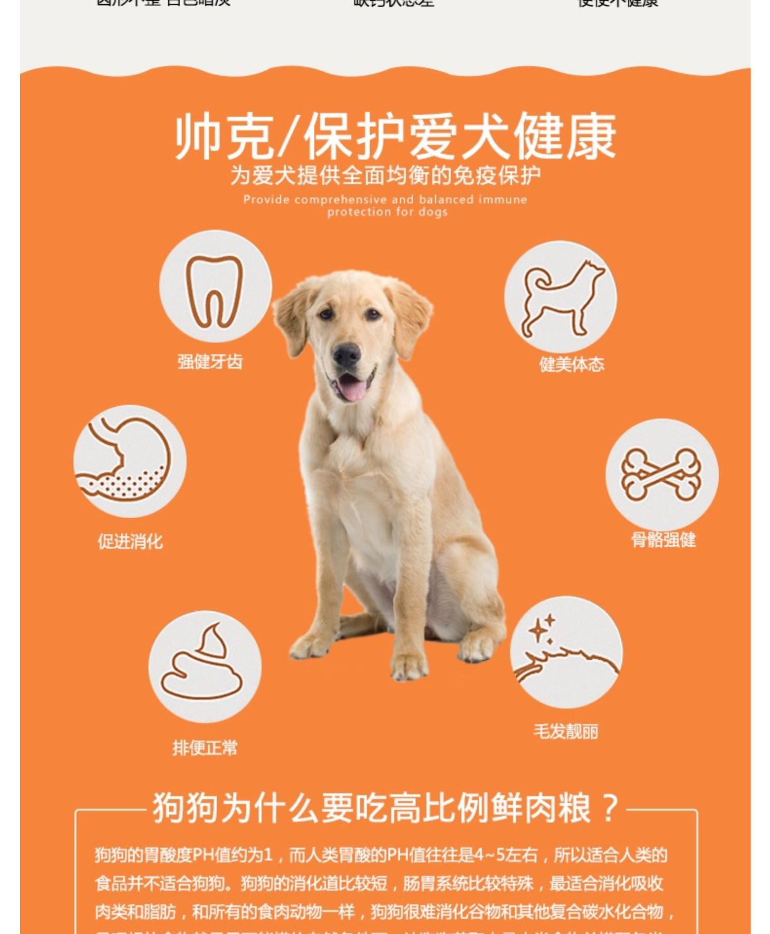 Thức ăn cho chó Shuai Ke mục đích chung S8 chó con ăn 30 kg vịt Teddy hơn Xiong Ke Fund Mao giống chó 20 kg - Chó Staples hạt zenith