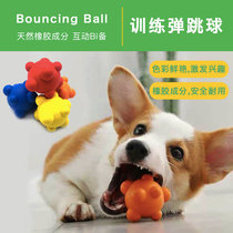 Dog training bouncing ball molar bite-resistant educational rubber ball Teddy Golden Retriever Rab relieves boredom toy self-healing artifact
