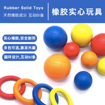 Dog training teeth cleaning ring bite-resistant educational rubber ring Teddy Golden Retriever large dog relieve boredom self-healing toy