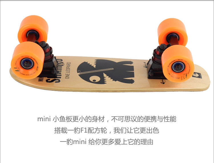 Skateboard pour homme femme enfant - Ref 2596289 Image 18