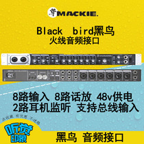 mackie Mickey Runingman Blackbird black bird fire line 8 audio interface