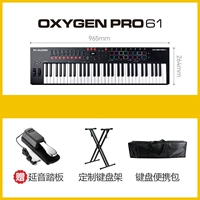 Axygen Pro 61+ педали+кронштейн+сумка
