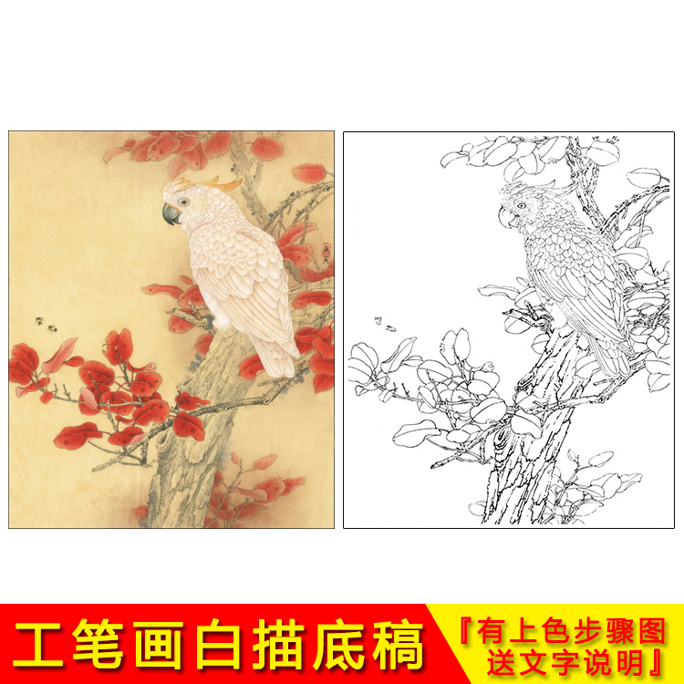 National Painting Work Stroke White Sketching Manuscript Flowers Birds Red Leaf Parrot Beginner copy hooking line with upper color step printing YA05-Taobao