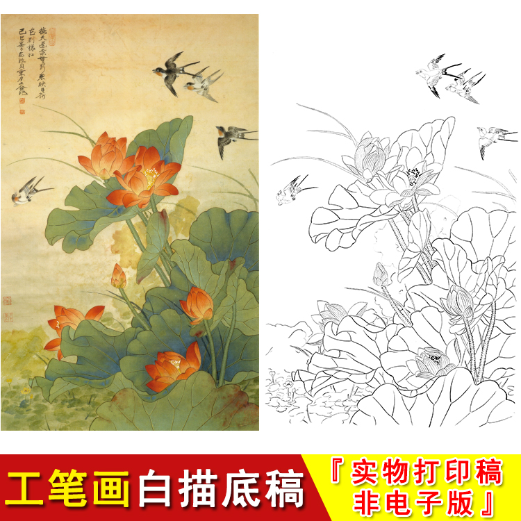 Yu Zhizhen Chinese painting meticulous painting line drawing manuscript flower bird lotus swallow sketch line drawing material physical printing HV03