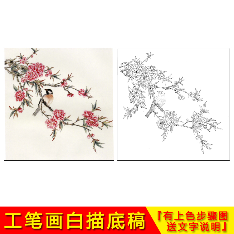 High definition country painting work stroke white sketching small pint flower bird suitable for beginology manuscript Tinto print physical print YA13-Taobao