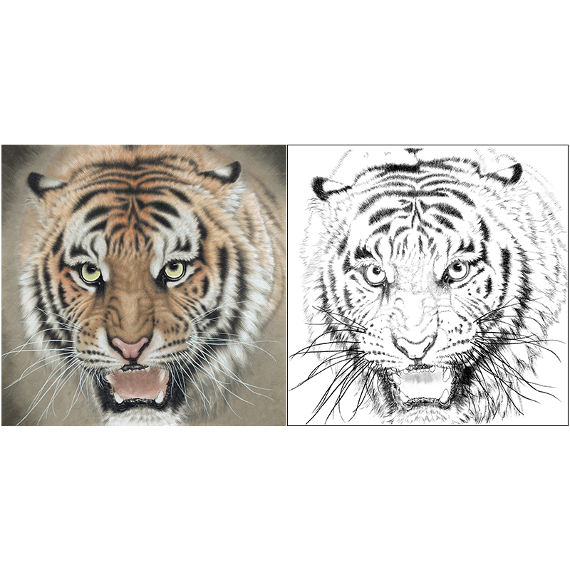 Meticulous painting tiger head white drawing draft Meng Xiangshun four-foot bucket copying line physical printing line draft A638