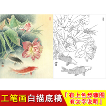 Line drawing draft of gongbi painting with coloring step instructions line drawing lotus and double carp copying draft ZL07