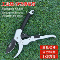 Imported pruning scissors horticultural scissors branch scissors fruit tree scissors flower scissors hairy scissors manganese steel