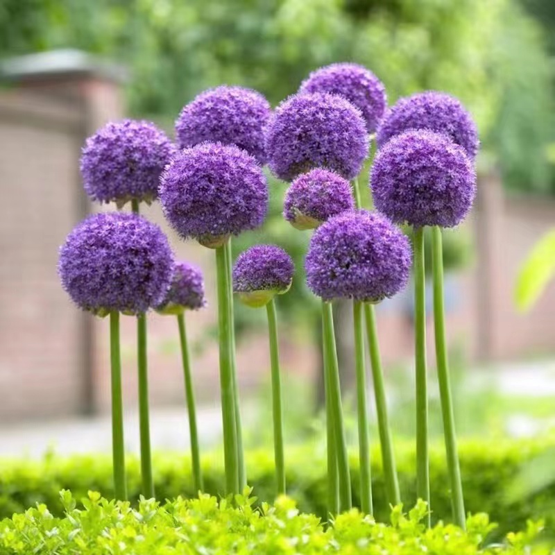 淘宝闪购夏日大使：揭秘电商夏日营销的秘密推手