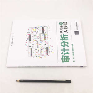 审计分析 从关系到大数据 董东,王艳君,陈玉哲 大中专文科经管