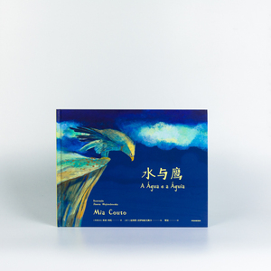 水与鹰 (莫桑)米亚·科托(Mia Couto) 绘本