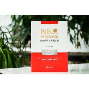 民法典婚姻家庭编条文精释与案例实务 肖峰编著 法律实务