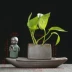 Củ cải xanh sáng tạo bình thủy canh chậu cây bình hoa bình đựng nước nuôi cấy đồ trang trí nhỏ trang trí nội thất nhà cửa - Vase / Bồn hoa & Kệ Vase / Bồn hoa & Kệ