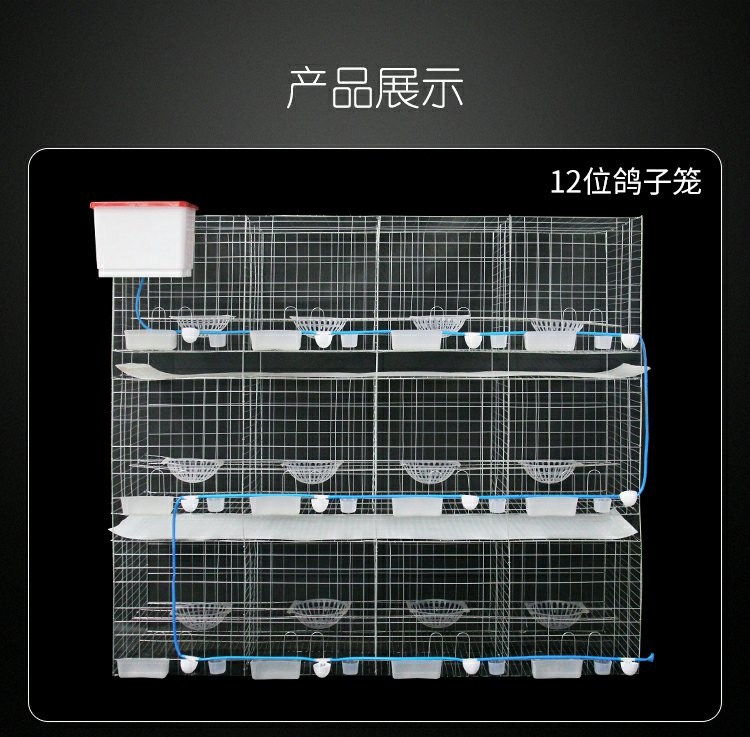 Lồng nuôi chim bồ câu lồng lớn ba lớp kết hợp huấn luyện ngoài trời hộ gia đình 12 chuồng bồ câu 16 bit chim bồ câu lồng chim bồ câu - Chim & Chăm sóc chim Supplies lồng chim sâu