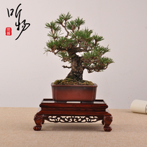 Red Wood Carving Flowers Positive Square Tiger Feet Flower Pots Jade Ware Teapot Chite Statues bonsai swaying pieces Base solid wood bays