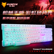 Hyun Silver Fox T30 wired USB keyboard notebook desktop Universal Office Game keyboard set Limited