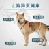 Thức ăn cho chó Shiba Inu chó trưởng thành 5kg chó nhỏ và vừa nói chung 10 kg bổ sung canxi lông đẹp Nhật Bản thức ăn cho chó con Shiba Inu - Chó Staples