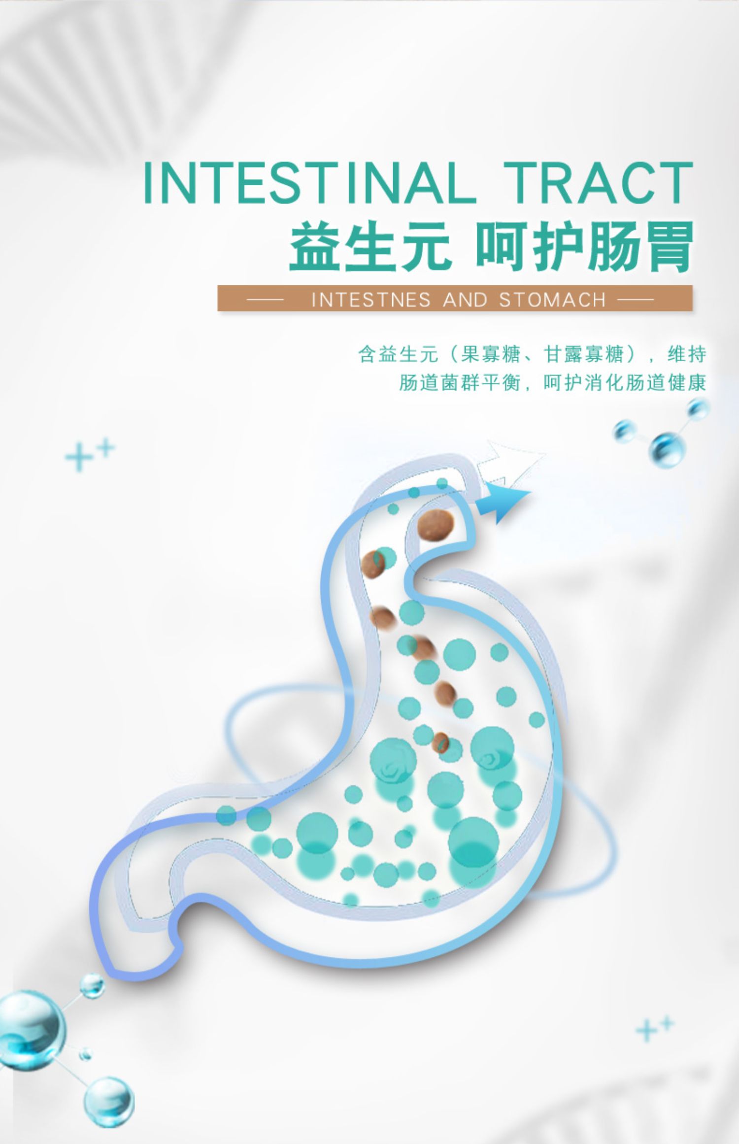 Thức ăn cho chó 20kg40 kg Chó con lớn Chó trưởng thành Chó nhỏ trưởng thành Thức ăn cho chó tự nhiên Phổ biến thức ăn cho chó - Chó Staples thức ăn cho chó