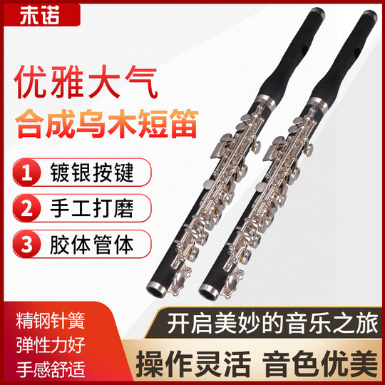 Weinuo vpc-e200s plays piccolo professionally