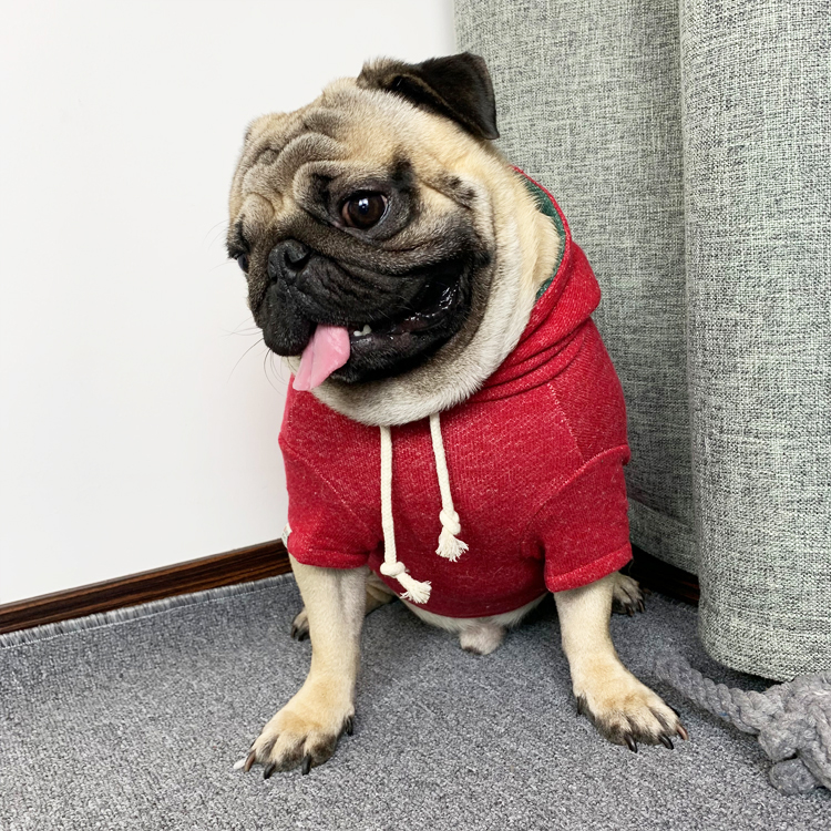 Pug Fa Dou clothes fat dog clothes pet sweatshirt jacket autumn winter sweater dress Schnauzer clothes