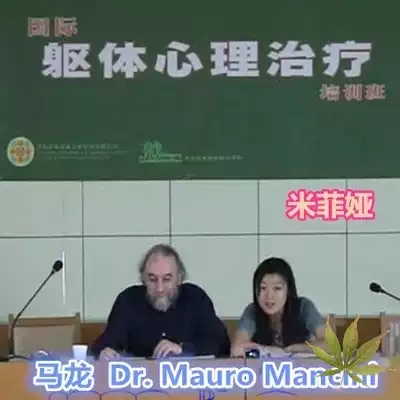 Complete Works of Malone Somatic Psychotherapy(with Chinese translation)Psychology video materials