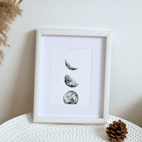 Белая древесина