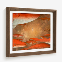 Simple solid wood large photo frame hanging wall custom framed frame outer frame A4A3 24 36 inch 4K open newspaper frame customized