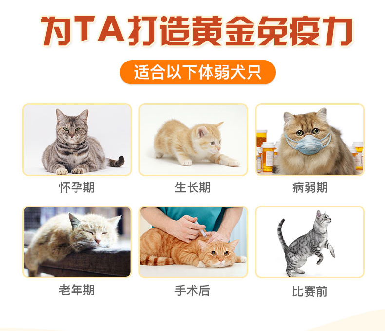 Singen phát triển kho báu mèo kem dinh dưỡng cơ bản NC4 thú cưng mèo con thành mèo đầy đủ loài mèo chung 125g - Cat / Dog Health bổ sung 	sữa cho mèo mới sinh