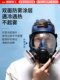 放毒防毒面罩面具全面罩有毒化工气体防尘喷漆专用防护口罩实验室