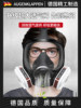 German Gas Mask Full-Face Mask for Toxic Gases, Specialized for Chemical Spraying, Hydrogen Sulfide, Laboratory Dust Protection