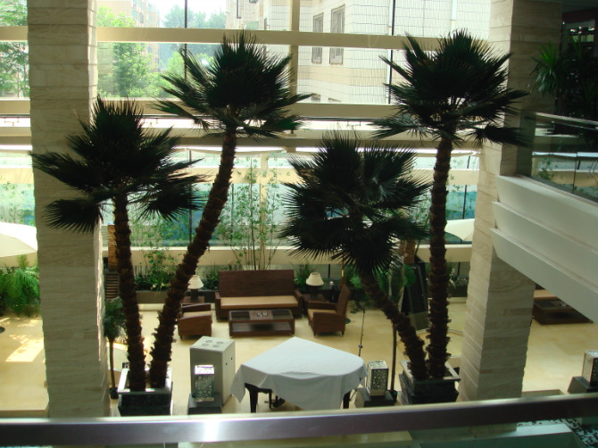 Emulated coconut tree palm tree fake tree indoor and outside large decorative tree