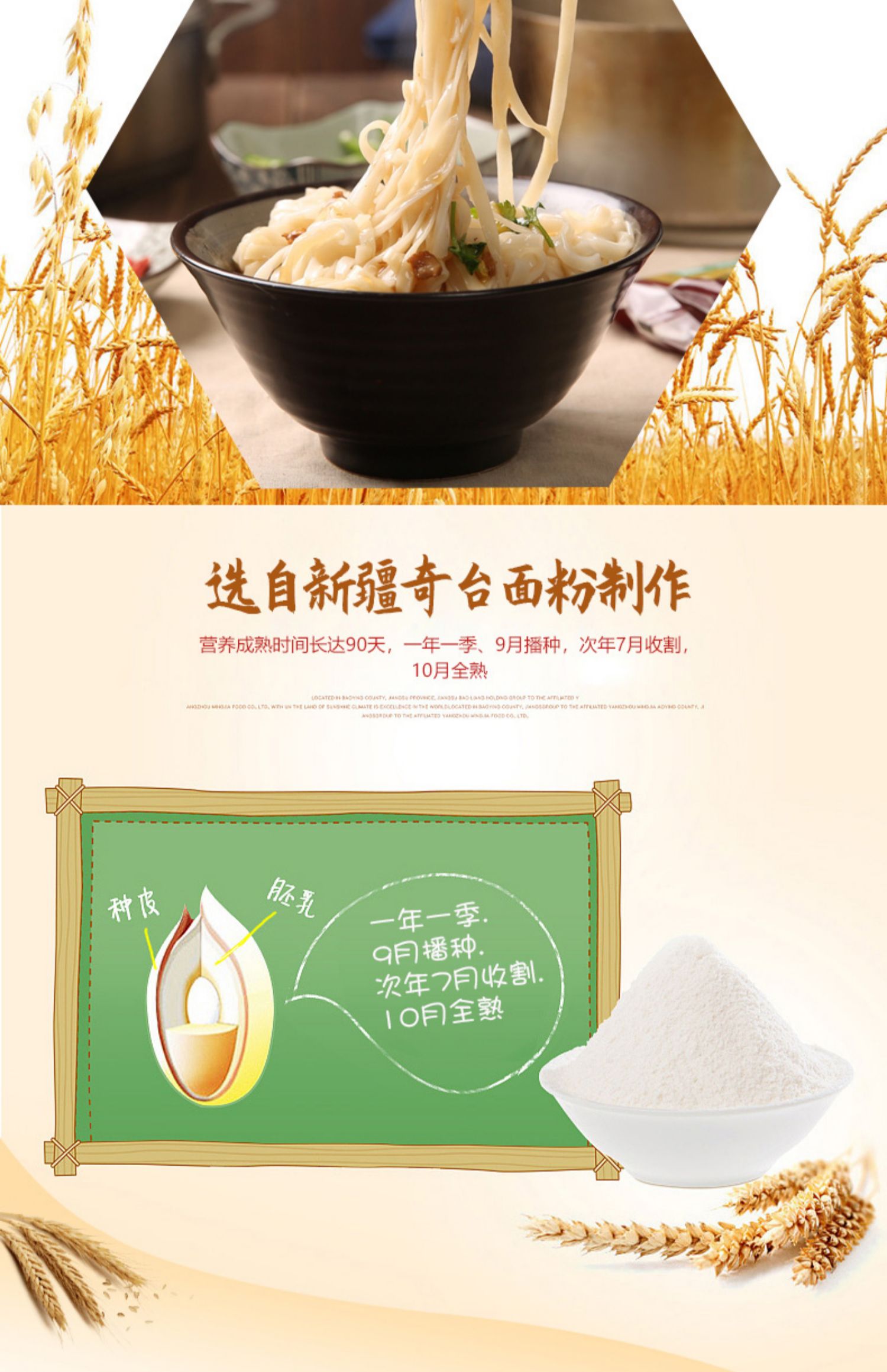 丝麦耘新疆麦芯挂面800g*3袋