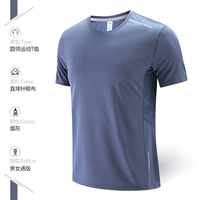 Zyj307 дым серого коротки