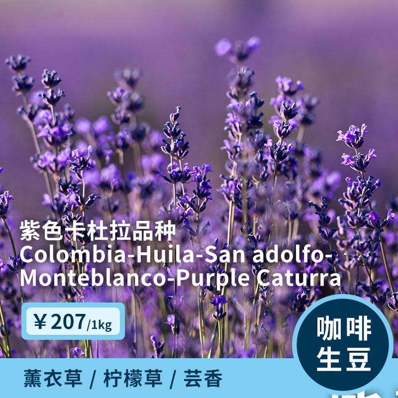 Violet Stacked Kaoru Inge Colombia Violet Caturra Mint Washed Imported Coffee Green Beans Roasted Storage 1KG