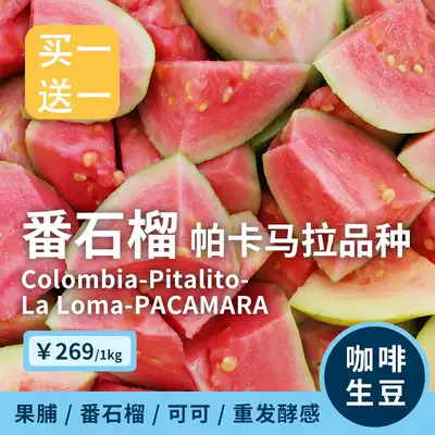 Margued guava Colombia Pacamara variety coffee raw beans imported roasting raw materials Sun 1KG