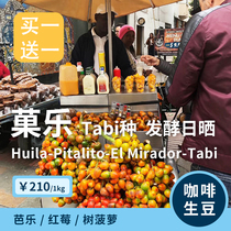 Inge fruit Colombia coffee imported raw bean roasting raw material TABI kinds of acetic acid fermentation Sun