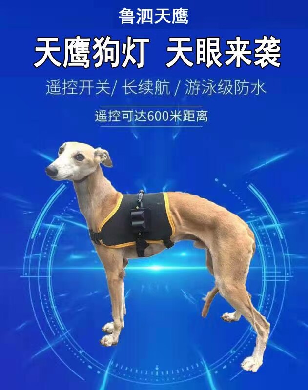 New product Lusi Tianying dog chain light night tracking light dog night running lighting night vision light street light dog chain light