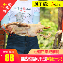 Salted duck Liuantic production farmhouse cured loose and salted duck homemade air-dried board duck Anhui lard duck 3 catties