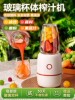 Juicer, Household Multi-Functional Portable Electric Small Milkshake Cup, Fruit Blender, Food Processor, Juice Extractor