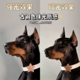 Собачья собачья круг круг злой мечта Сладкая аксессуары мечта