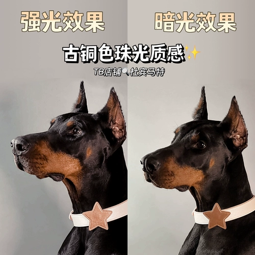 Собачья собачья круг круг злой мечта Сладкая аксессуары мечта