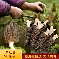 Imitation Wild Sheep Belly Yunnan Trinatal Dried Goods Farmyard Goat Tripe Soup Stock Wild Fungus Spring Goat Belly Mushrooms