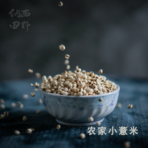 Naxi field Yunnan small barley glutinous barley rice farmhouse grain new 500g