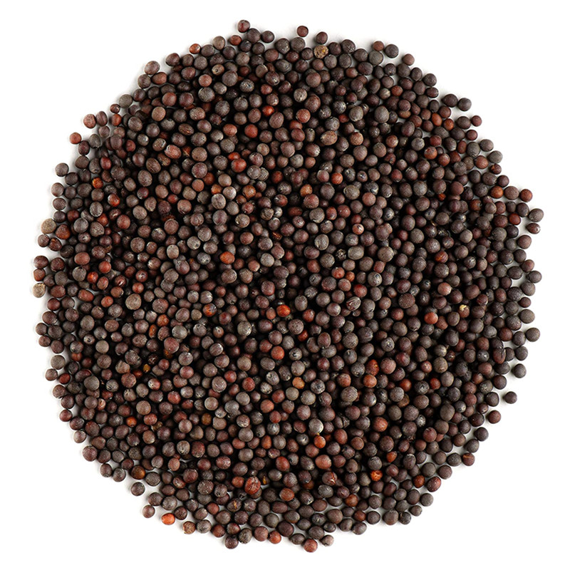 BLACK MUSTARD SEED BROWN WHOLE 50G Kimchi Mustard Dressing