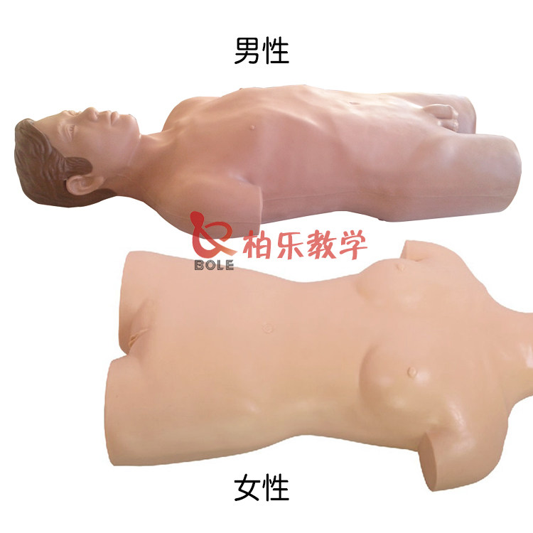 术前无菌操作训练模型教学模具手术护理消毒练习男性女性模拟人